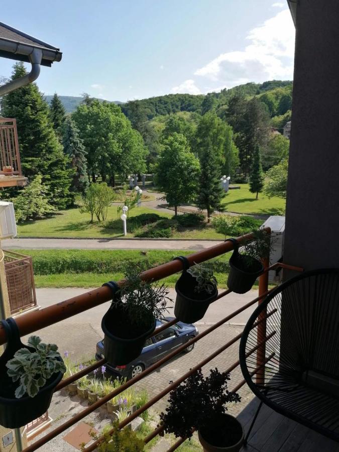 Koko Apartman Vrnjacka Banja Exterior photo
