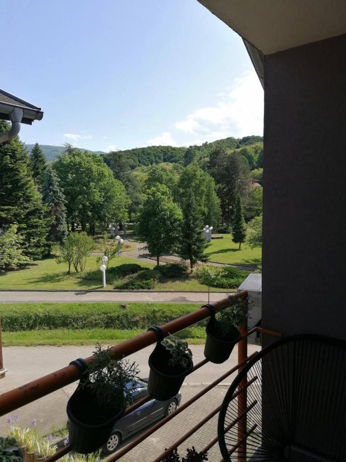 Koko Apartman Vrnjacka Banja Exterior photo